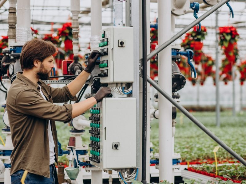 Man florist working in green house
